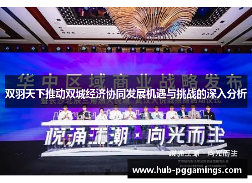双羽天下推动双城经济协同发展机遇与挑战的深入分析