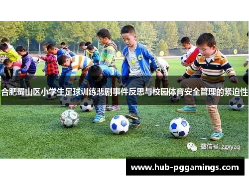 合肥蜀山区小学生足球训练悲剧事件反思与校园体育安全管理的紧迫性
