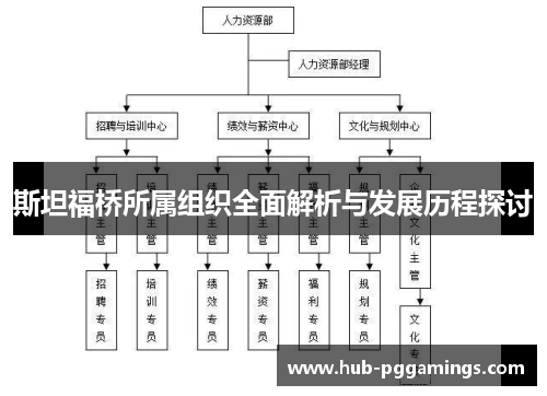 斯坦福桥所属组织全面解析与发展历程探讨