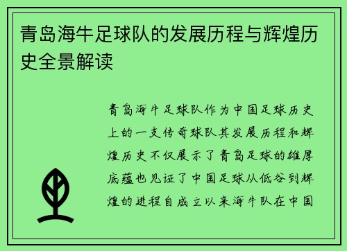 青岛海牛足球队的发展历程与辉煌历史全景解读