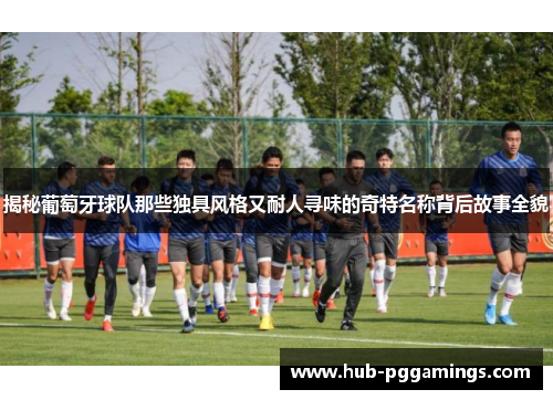 揭秘葡萄牙球队那些独具风格又耐人寻味的奇特名称背后故事全貌 揭秘葡萄牙球队那些独具风格又耐人寻味的奇特名称背后故事全貌