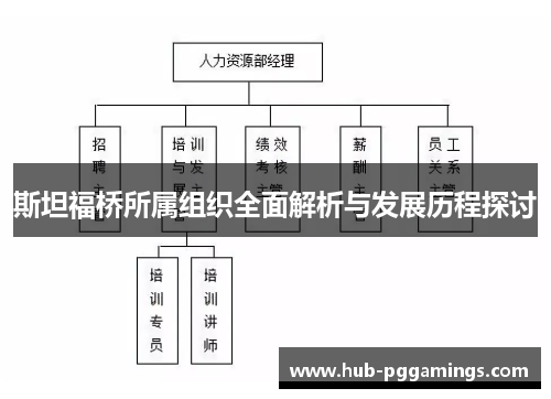 斯坦福桥所属组织全面解析与发展历程探讨