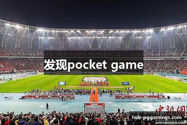 发现pocket game